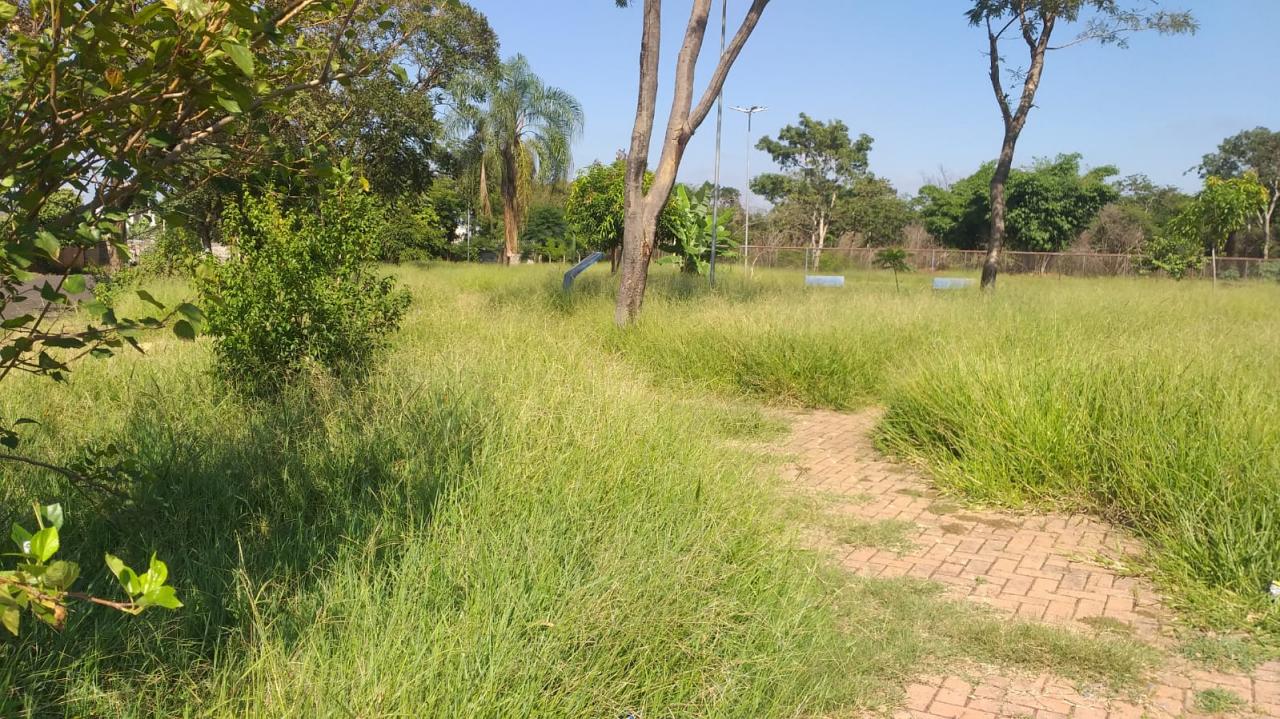 Foto 4 de 21 — Mato toma conta de praça no Maria Luiza; Prefeitura não tem prazo para zeladoria no bairro